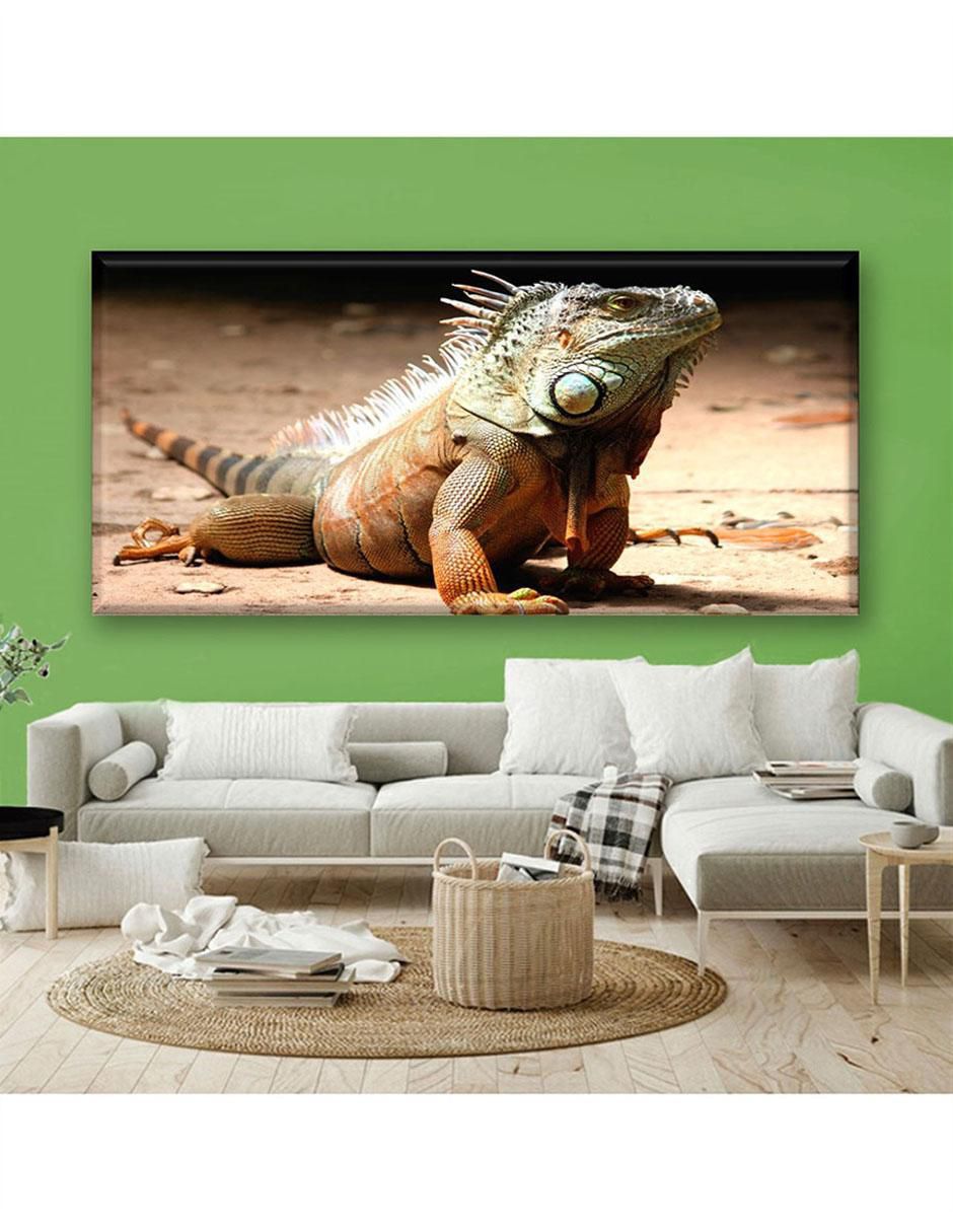 Cuadro decorativo Iguana 5