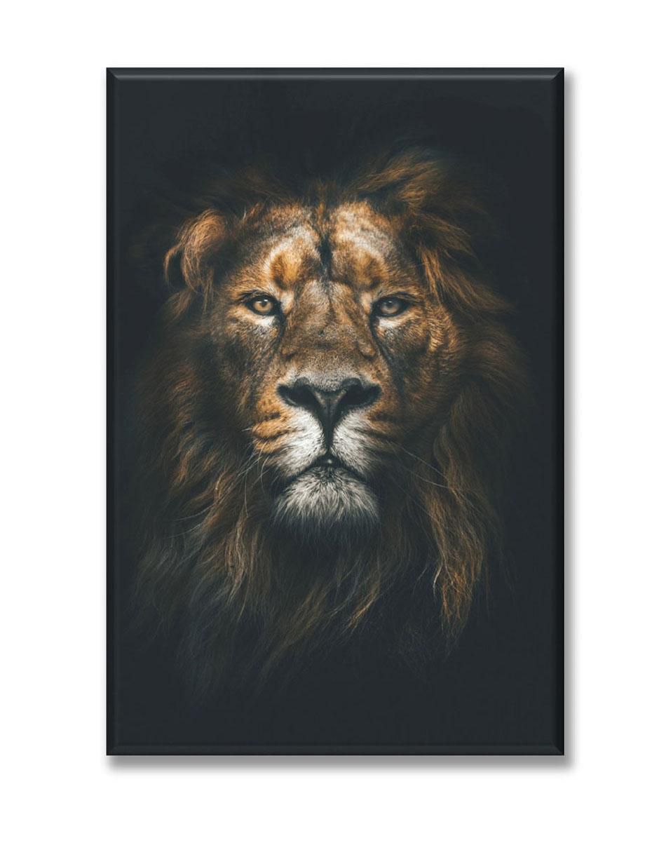 Cuadro decorativo Industria Grafica Ciento 23 León en la oscuridad