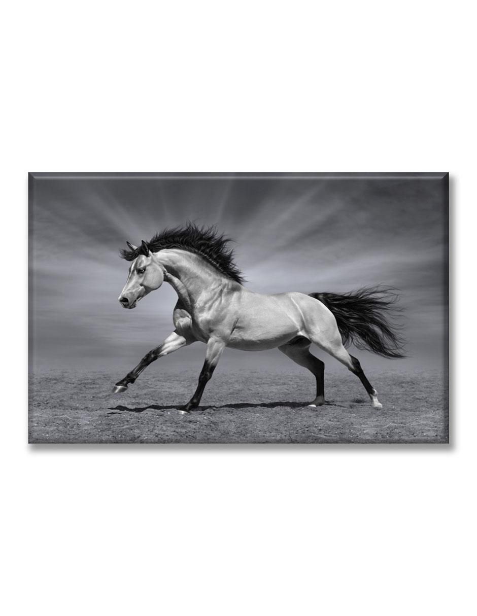 Cuadro decorativo Industria Grafica Ciento 23 Caballo pura sangre