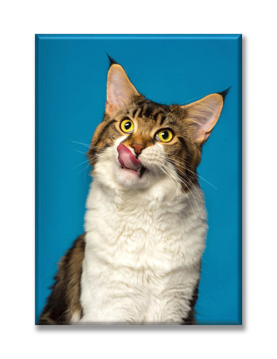 Cuadro decorativo Industria Grafica Ciento 23 Maine coon gato