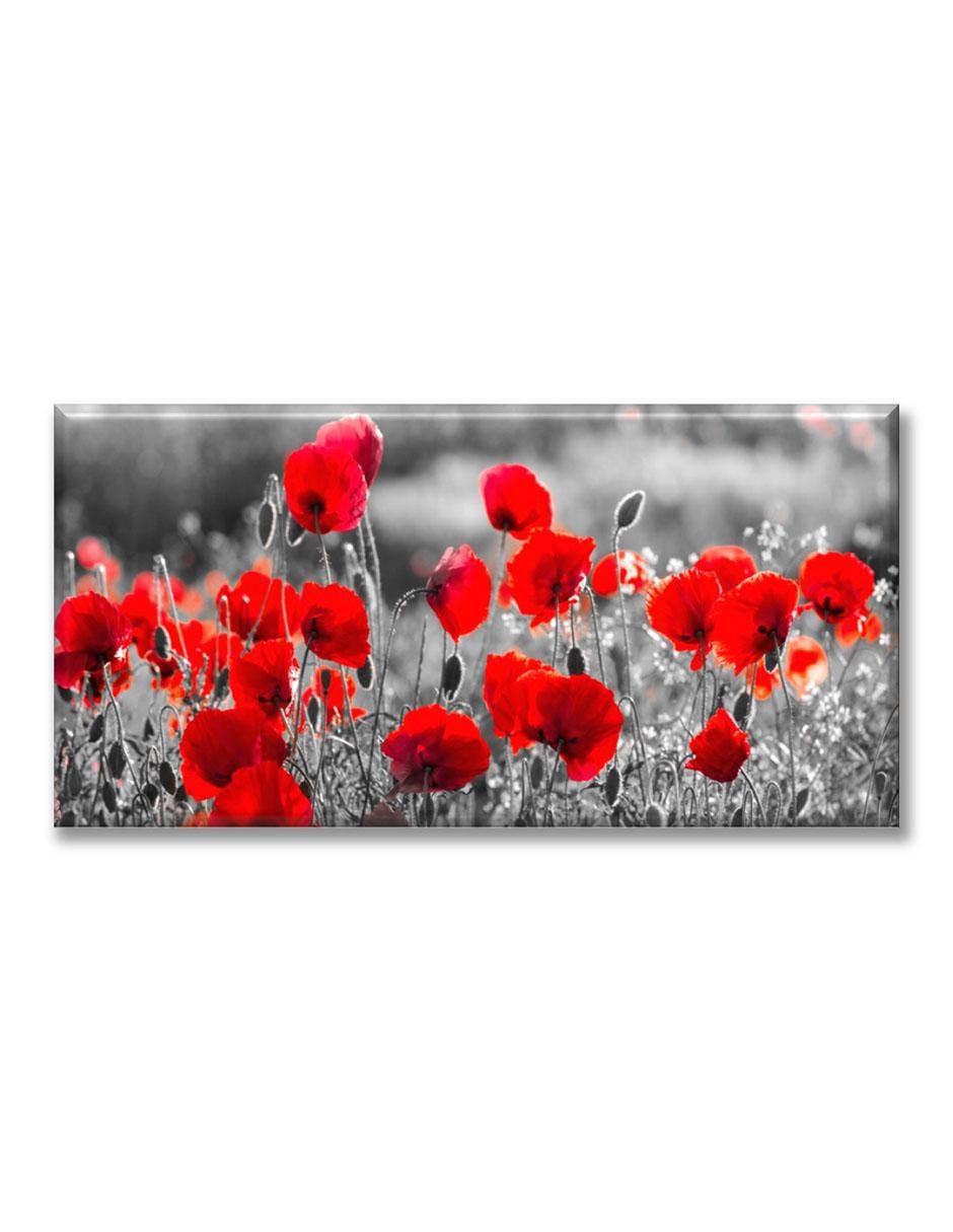 Cuadro decorativo Flores 1