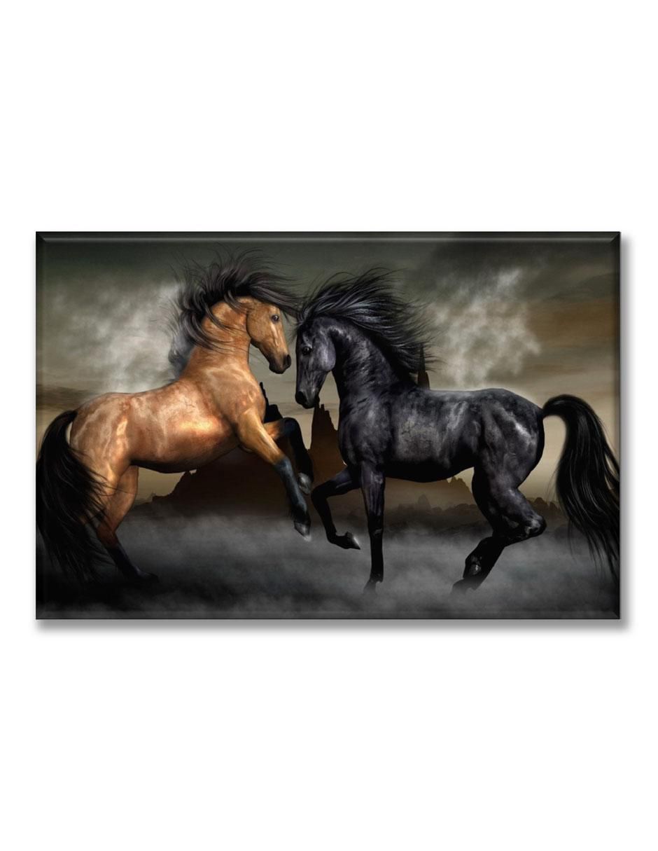 Cuadro decorativo Dos caballos 1