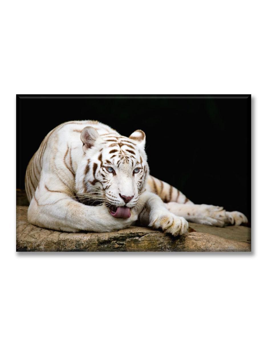 Cuadro decorativo Industria Grafica Ciento 23 Tigre descansando