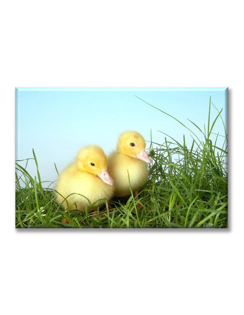 Cuadro decorativo Dos patitos 1