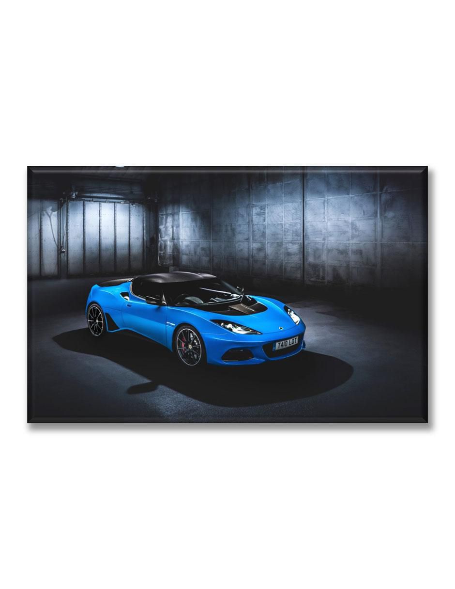 Cuadro decorativo Lotus 1