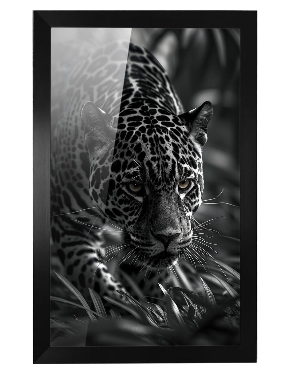 Cuadro decorativo Jaguar Cuadro decorativo Jaguar