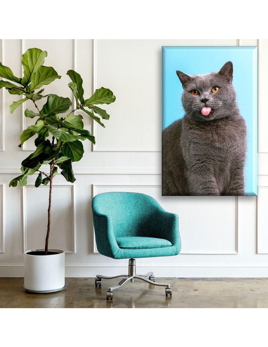 Cuadro decorativo Industria Grafica Ciento 23 Gato británico