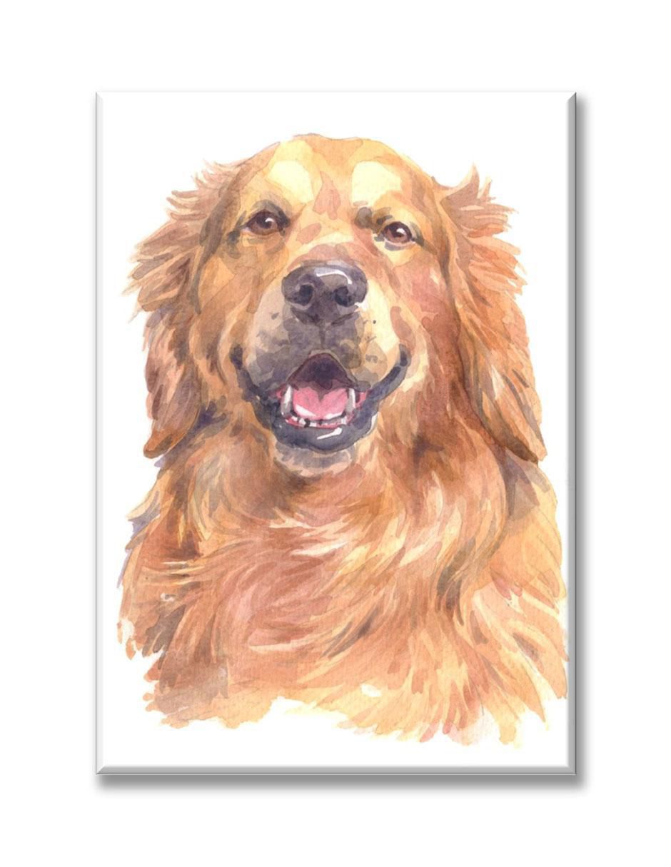 Cuadro decorativo Industria Grafica Ciento 23 Golden retriever acuarela