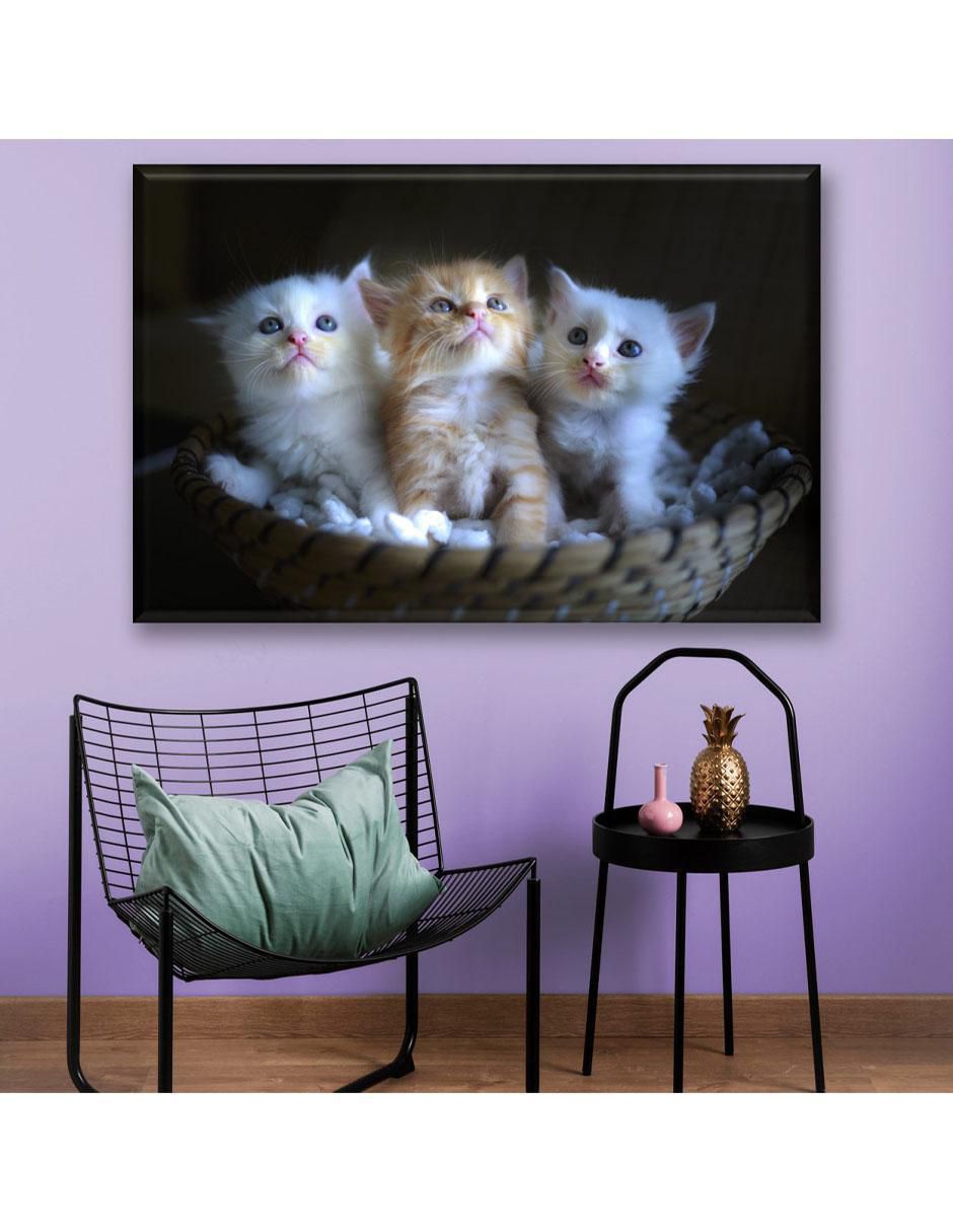Cuadro decorativo Industria Grafica Ciento 23 3 gatitos