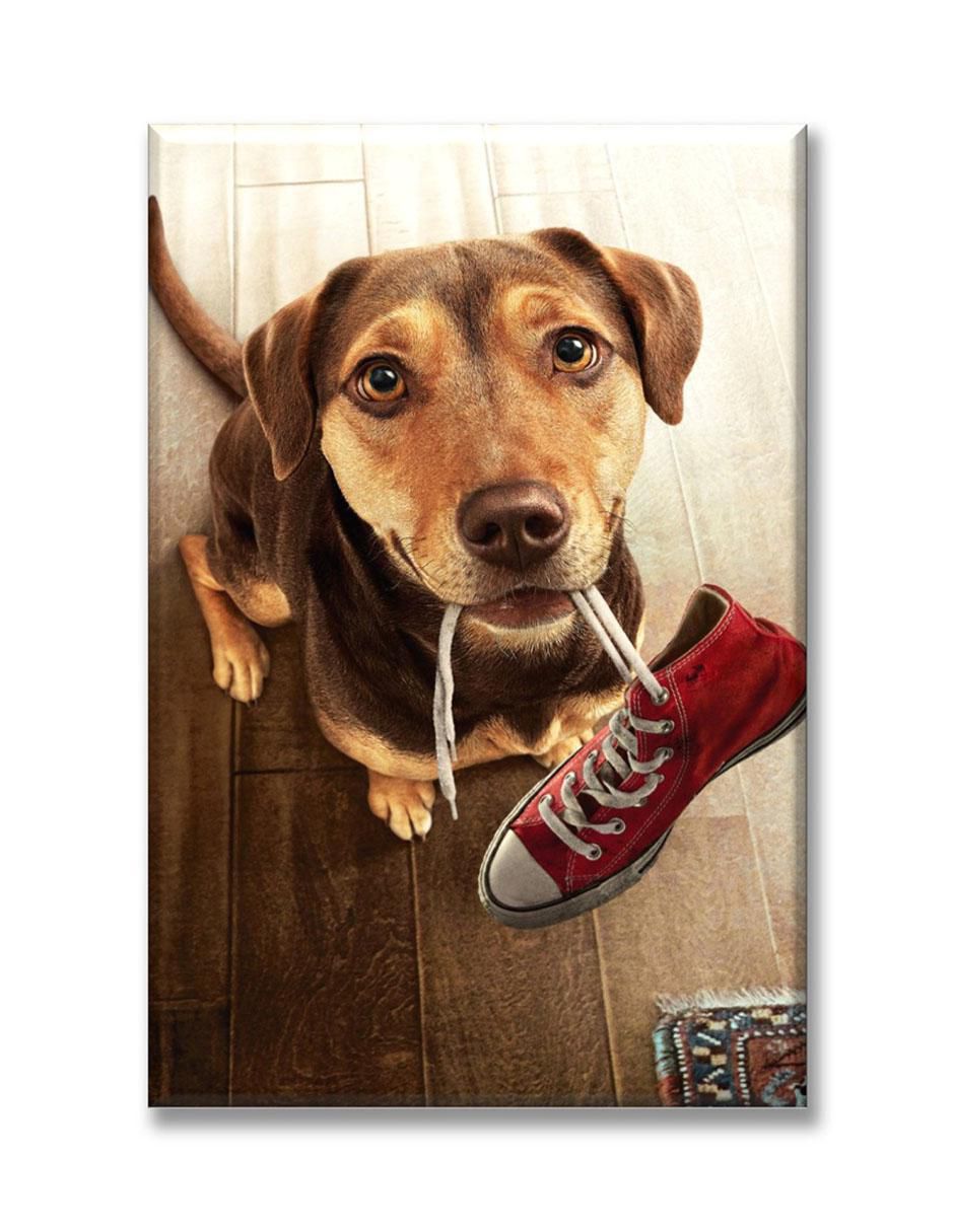 Cuadro decorativo Industria Grafica Ciento 23 Perro con tenis