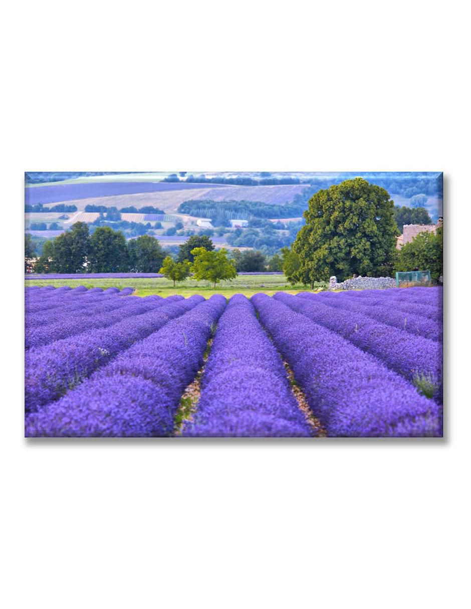 Cuadro decorativo Campo de lavanda 1