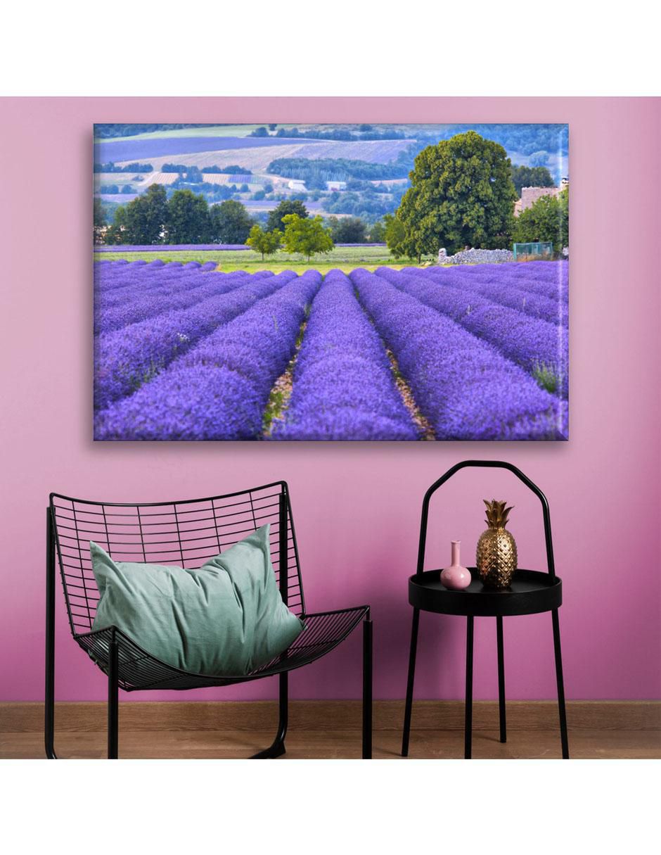 Cuadro decorativo Campo de lavanda 2