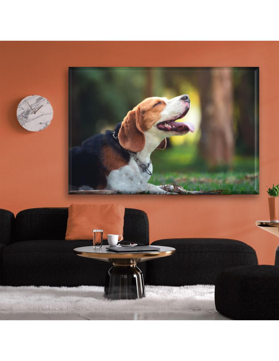 Cuadro decorativo Beagle feliz 5
