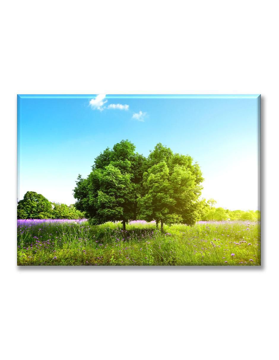 Cuadro decorativo Árbol en primavera 1