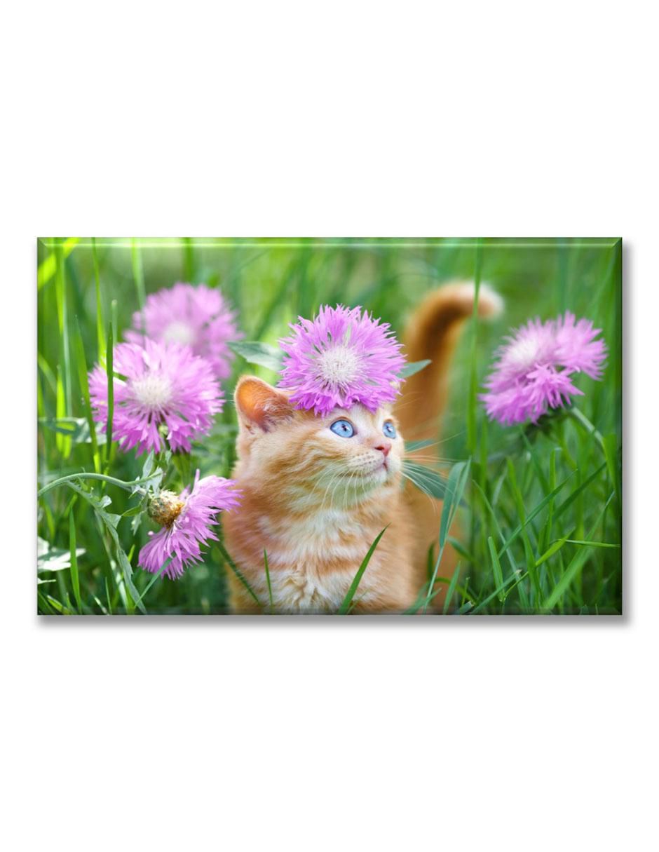 Cuadro decorativo Industria Grafica Ciento 23 Gatito en el jardín