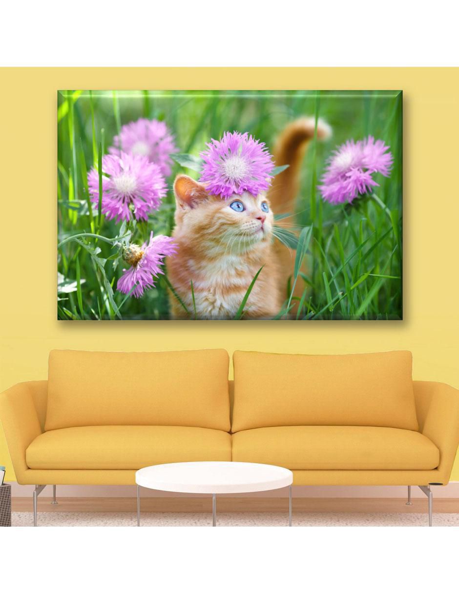 Cuadro decorativo Industria Grafica Ciento 23 Gatito en el jardín