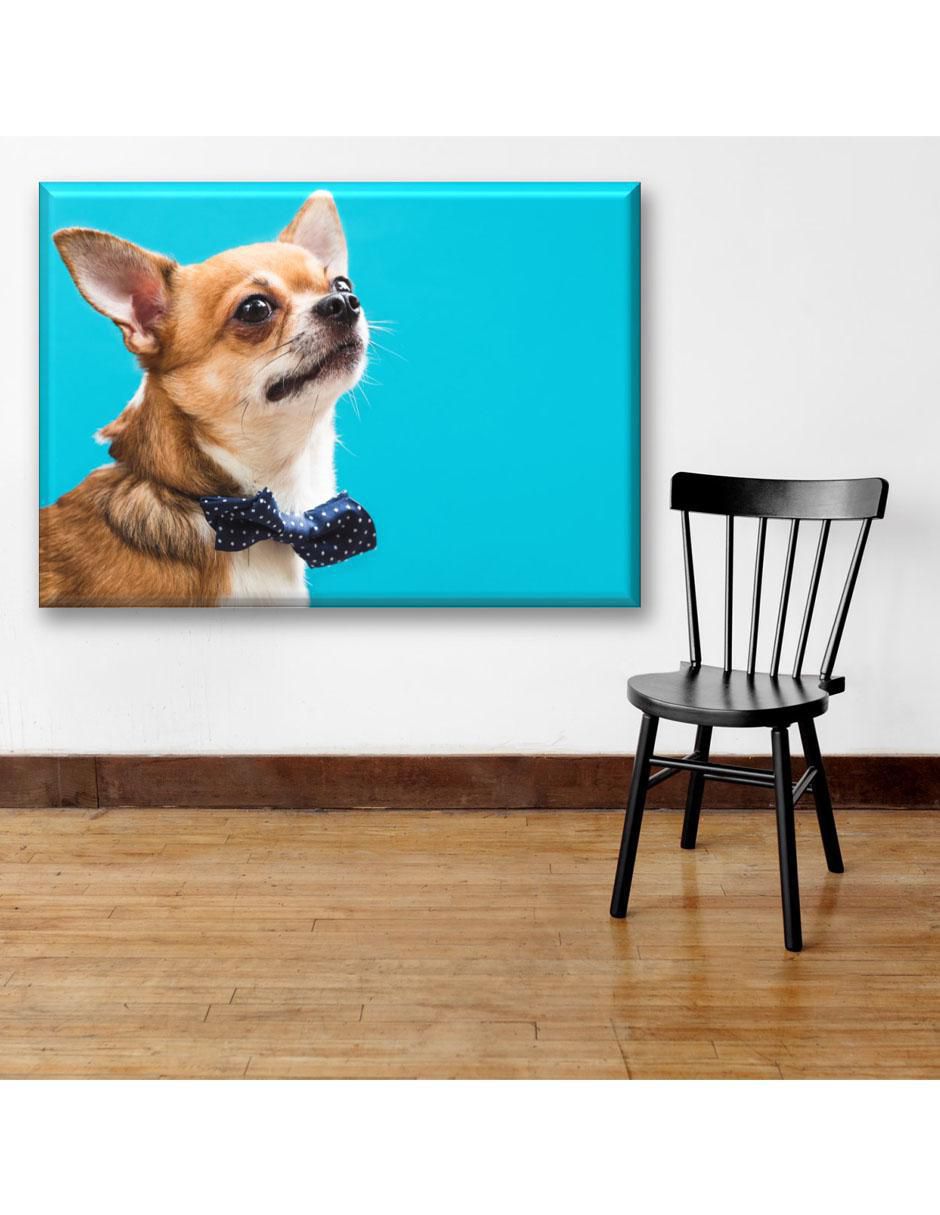 Cuadro decorativo Chihuahua elegante 5