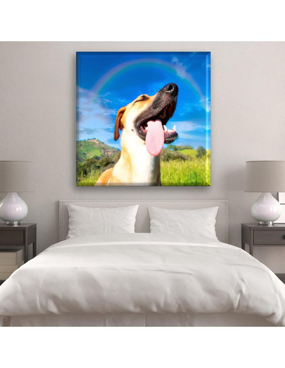Cuadro decorativo Perro arcoiris 5