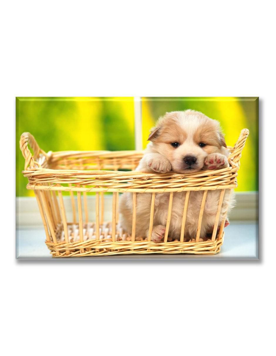 Cuadro decorativo Industria Grafica Ciento 23 Cachorro en canasta