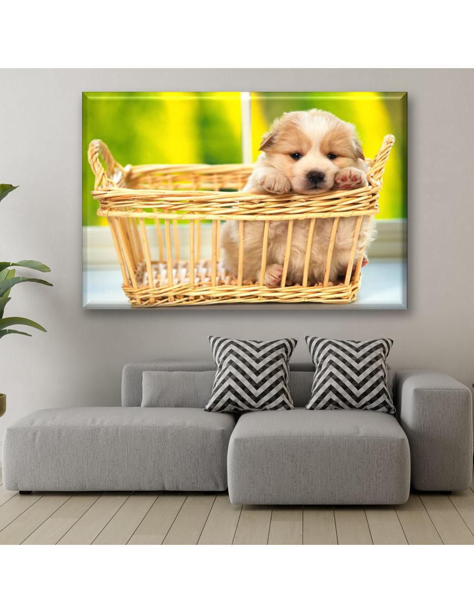 Cuadro decorativo Industria Grafica Ciento 23 Cachorro en canasta