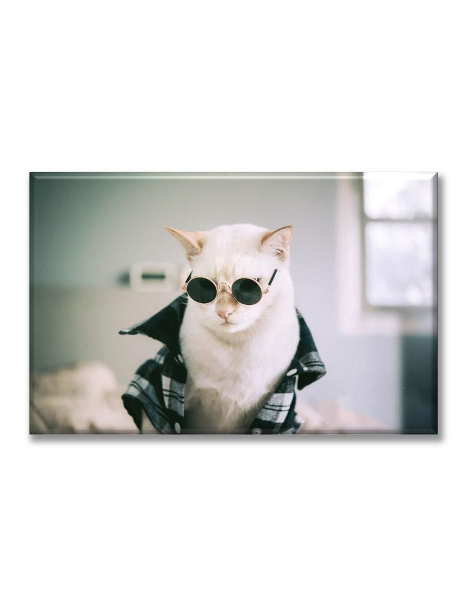 Cuadro decorativo Gato rockero