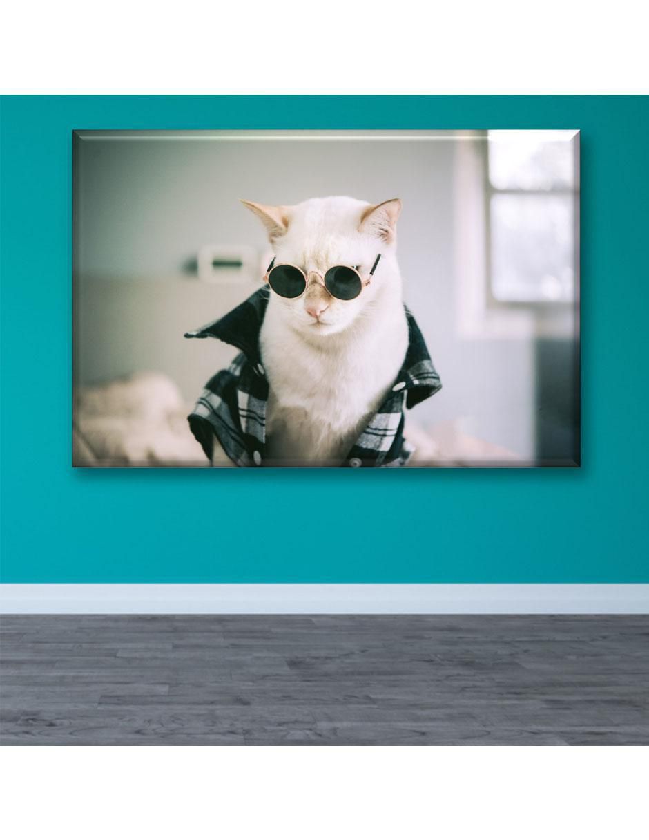 Cuadro decorativo Industria Grafica Ciento 23 Gato rockero