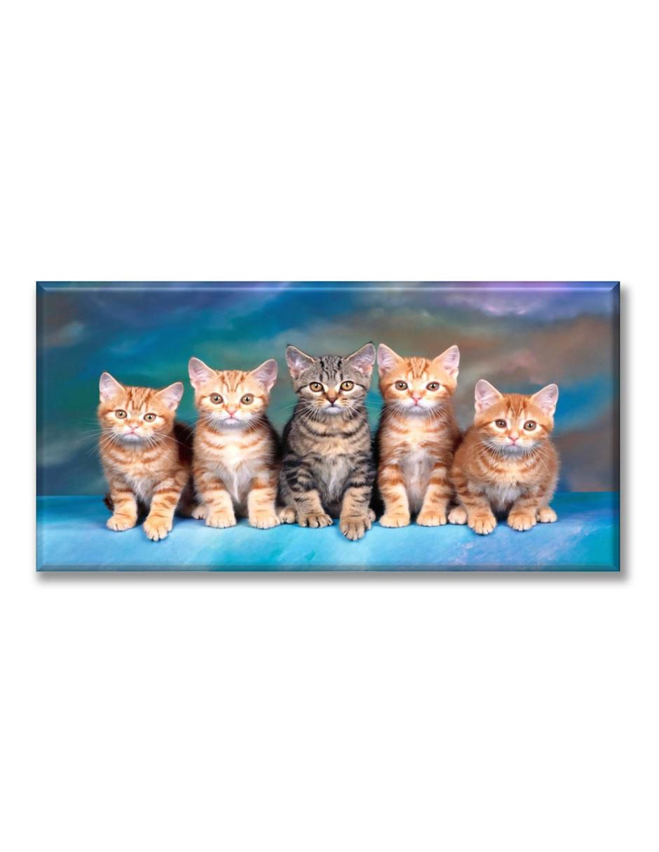 Cuadro decorativo Michis 1