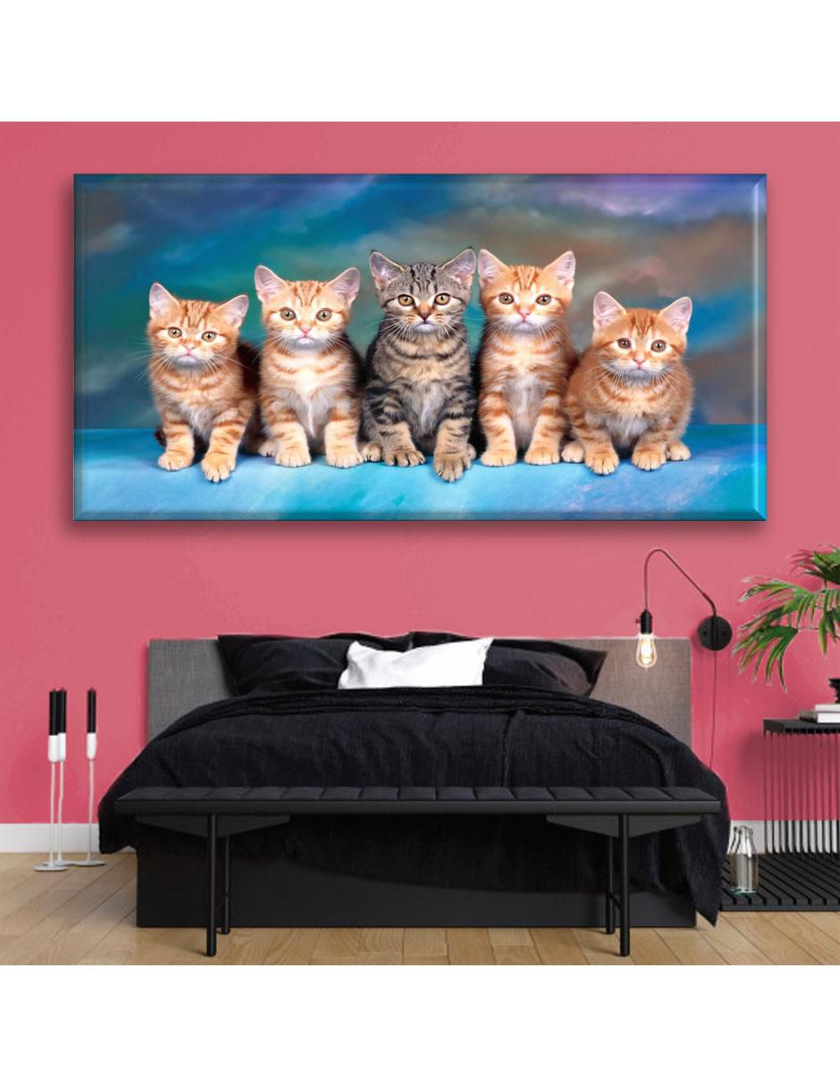 Cuadro decorativo Michis 5