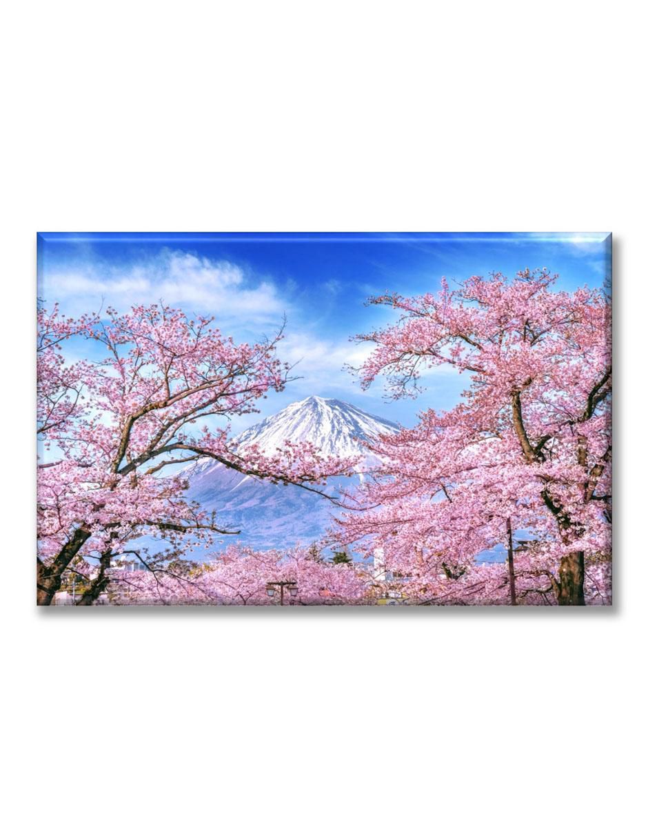 Cuadro decorativo Primavera japón 1