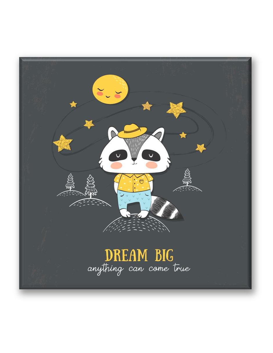 Cuadro decorativo Mapache dream 1