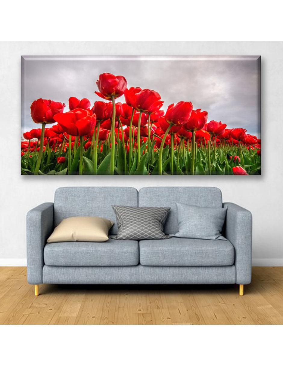 Cuadro decorativo Campos de tulipanes rojos 5