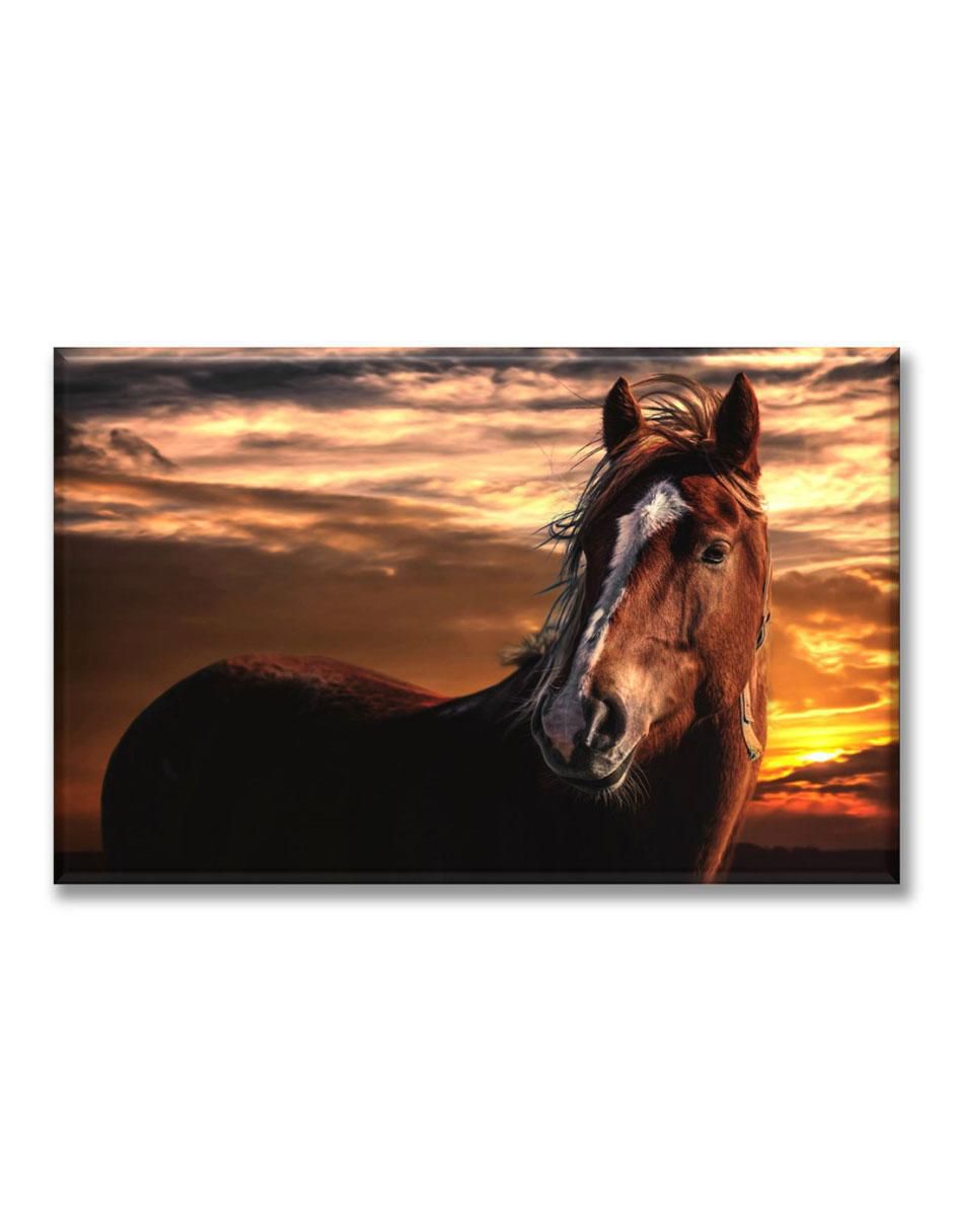 Cuadro decorativo Caballo en el amanecer 1