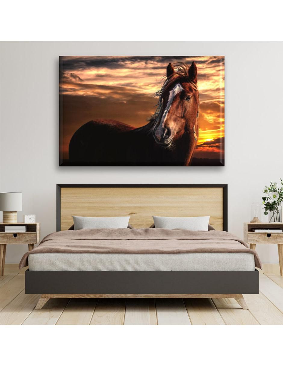 Cuadro decorativo Caballo en el amanecer 5