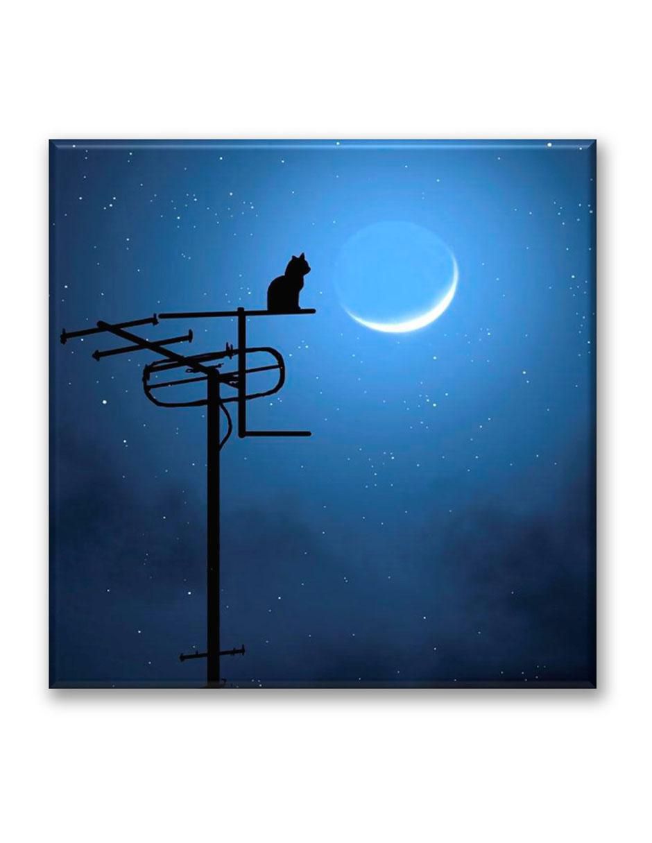 Cuadro decorativo Industria Grafica Ciento 23 Gato en la luna