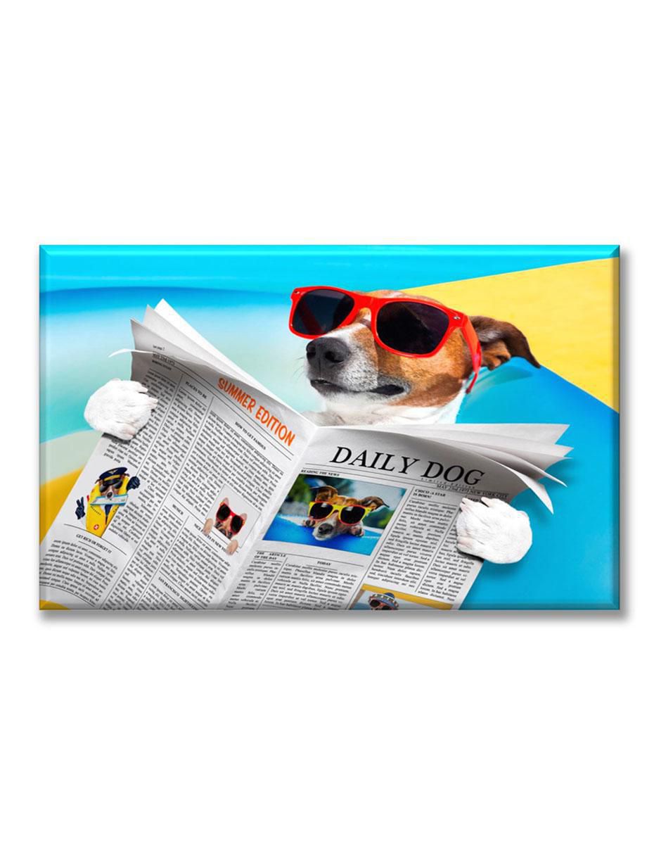 Cuadro decorativo Perro de vacaciones 1
