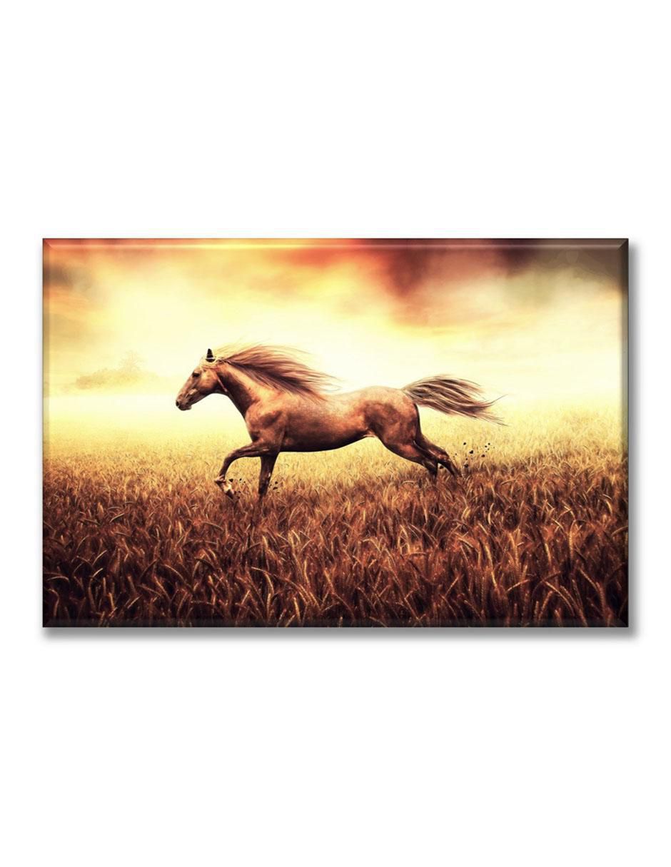 Cuadro decorativo Caballo 1