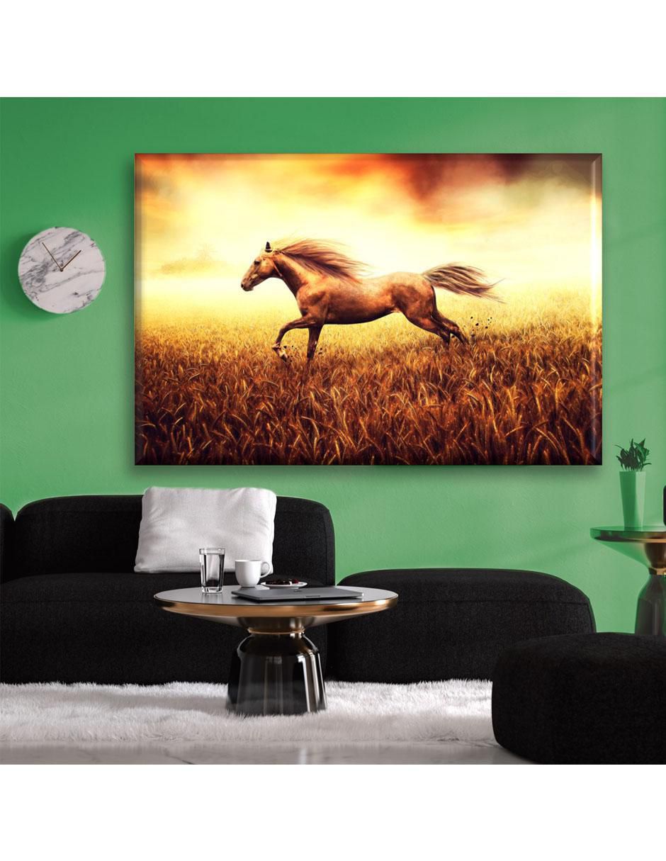 Cuadro decorativo Caballo 5