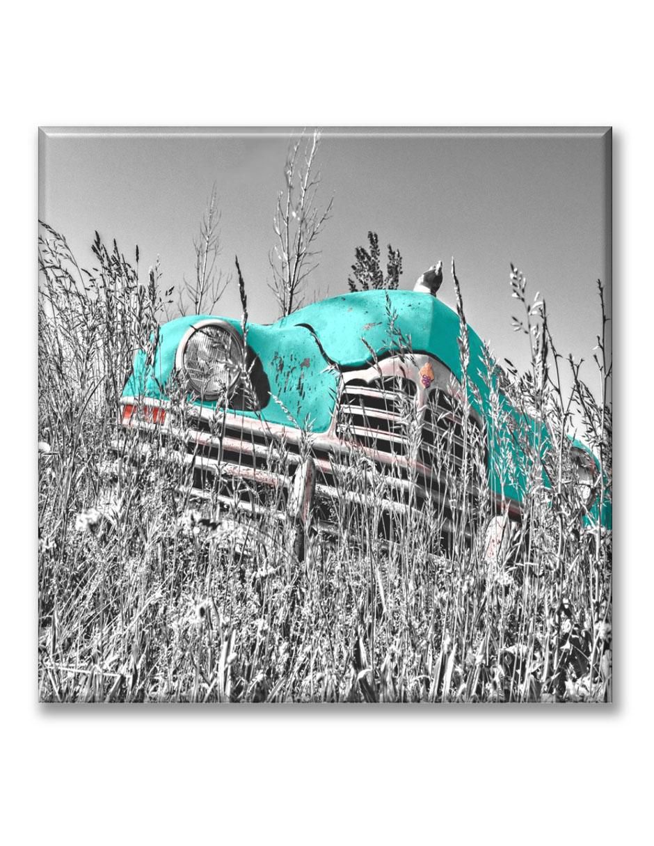 Cuadro decorativo Industria Grafica Ciento 23 Coche antiguo en la maleza