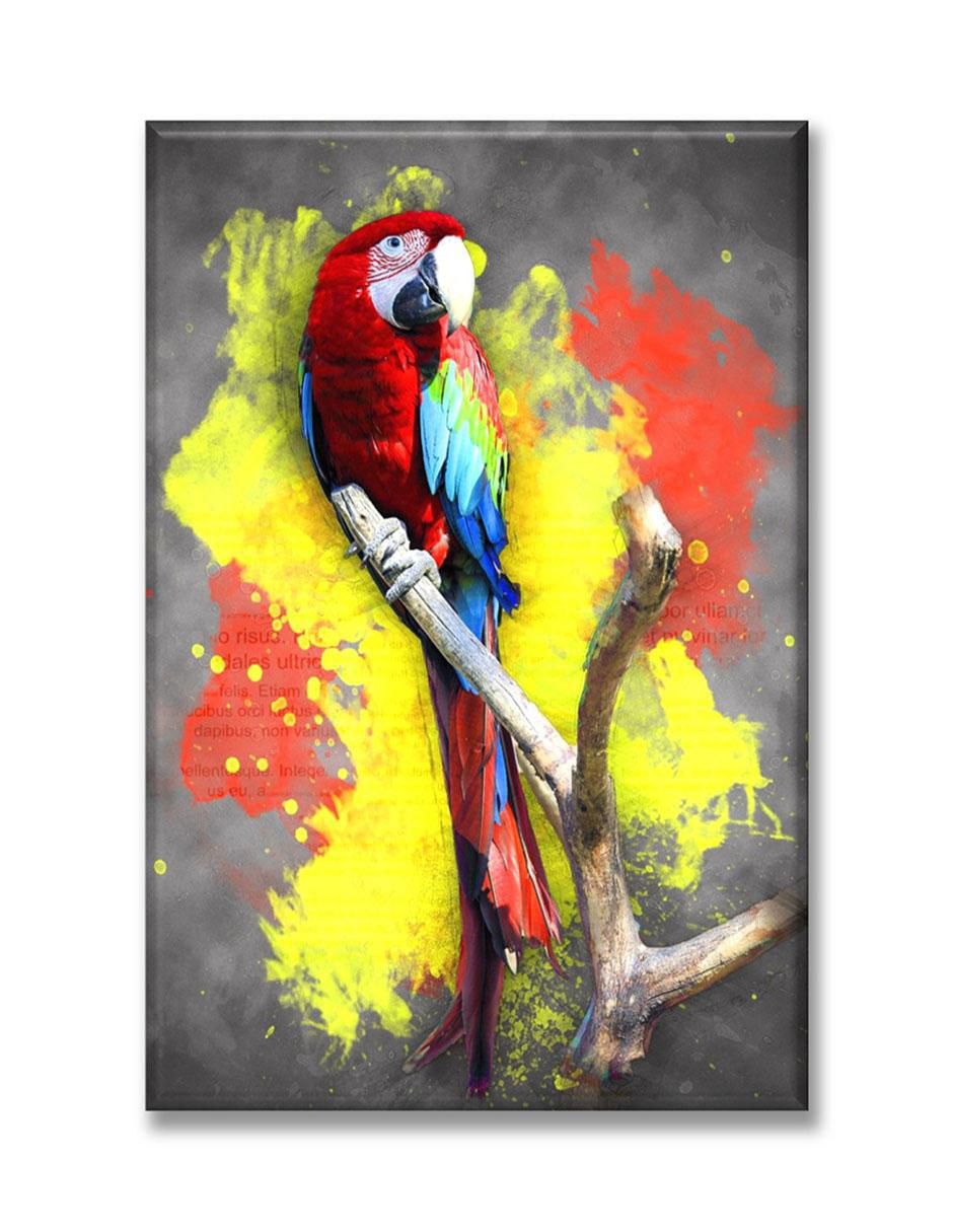 Cuadro decorativo Parrot 1