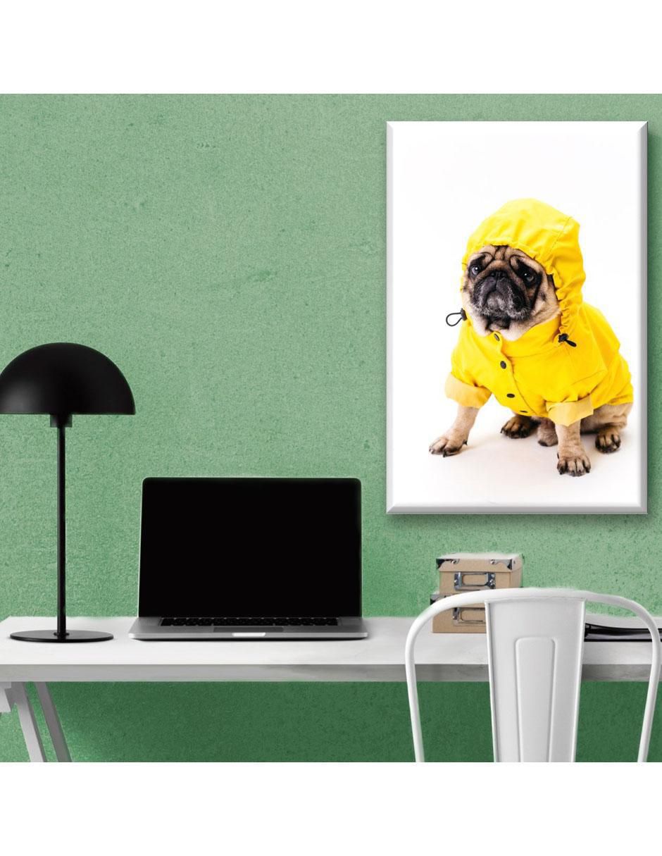Cuadro decorativo Pug impermeable 5