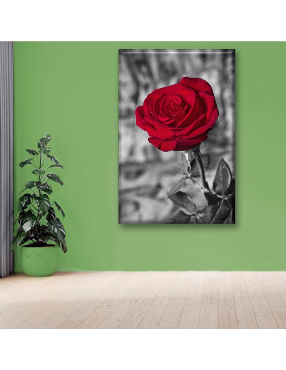 Cuadro decorativo Industria Grafica Ciento 23 Rosa roja BN