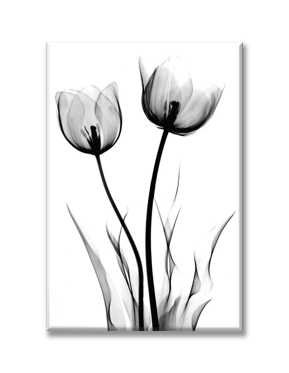 Cuadro decorativo Rayos x flores 1