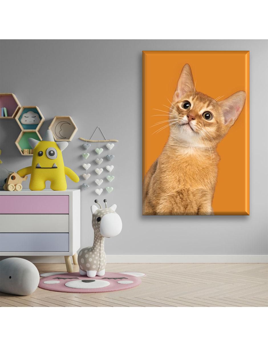 Cuadro decorativo Gato naranja 5