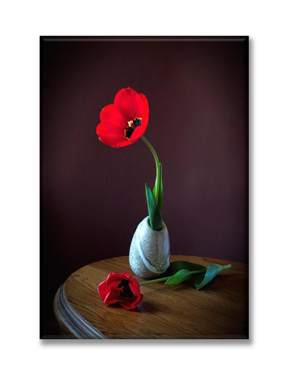 Cuadro decorativo Industria Grafica Ciento 23 Tulipan rojo