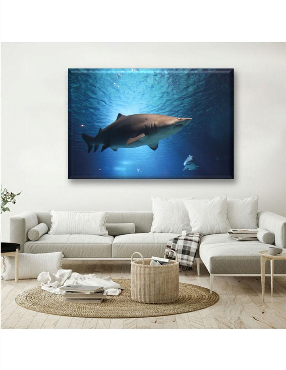 Cuadro decorativo Tiburon 5