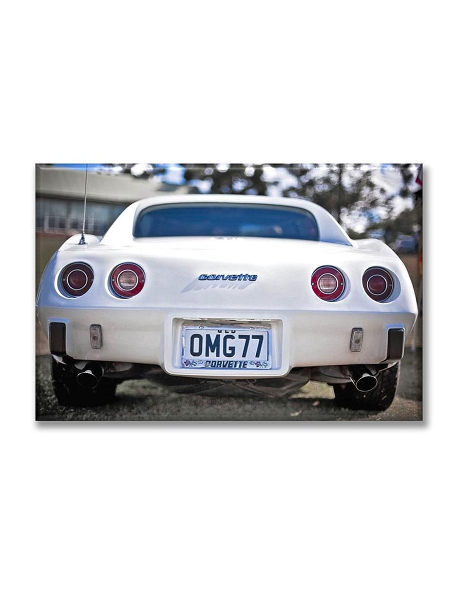 Cuadro decorativo Corv blanco 1
