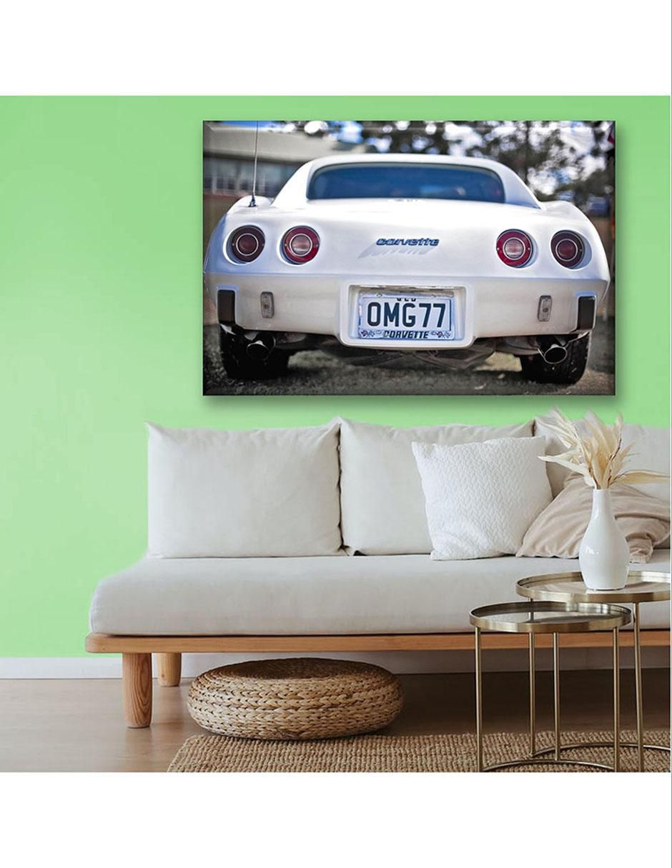 Cuadro decorativo Corv blanco 5