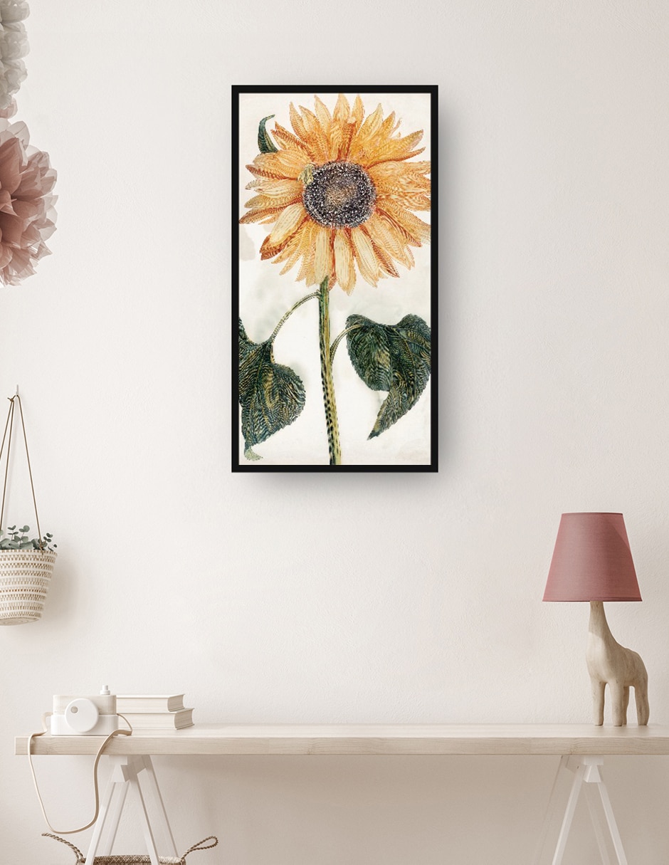 Cuadro decorativo Girasol (1688-1698) técnica mixta Girasoles 4