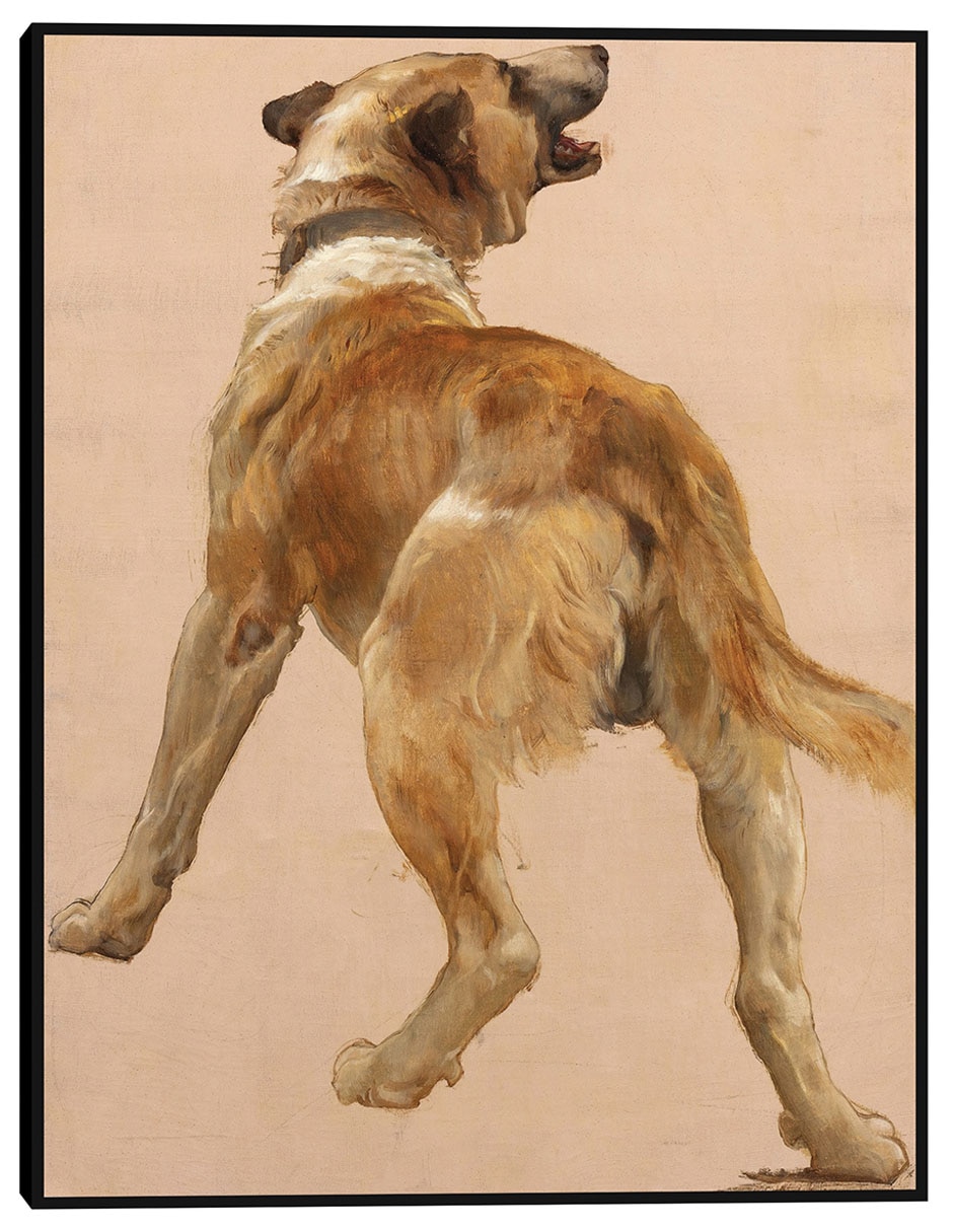 Cuadro decorativo Estudio del perro guía homѐre et son técnica mixta Animales Domésticos