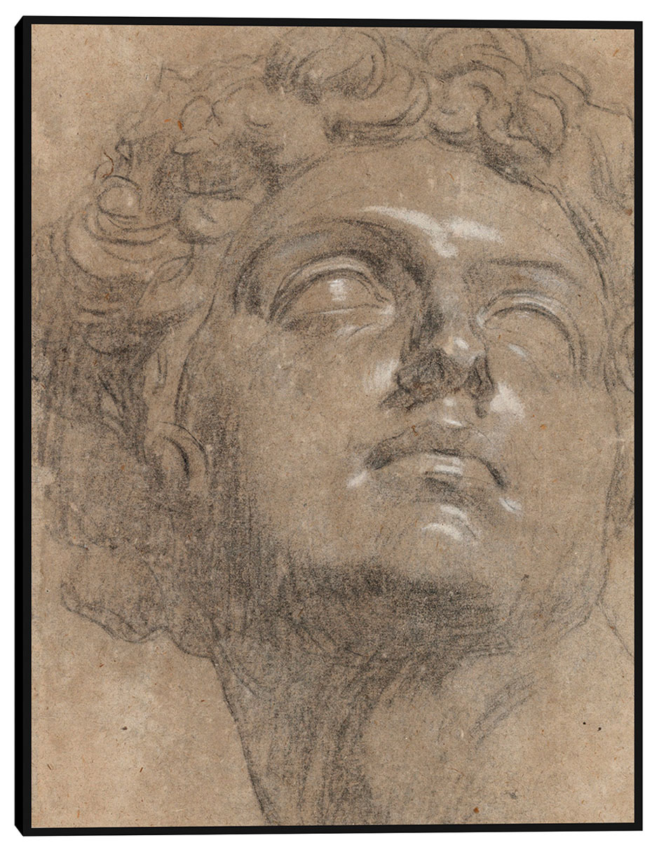 Cuadro decorativo Cabeza de Giuliano de Medici (década de 1540) técnica mixta Cuadro decorativo Cabeza de Giuliano de Medici (década de 1540) técnica mixta